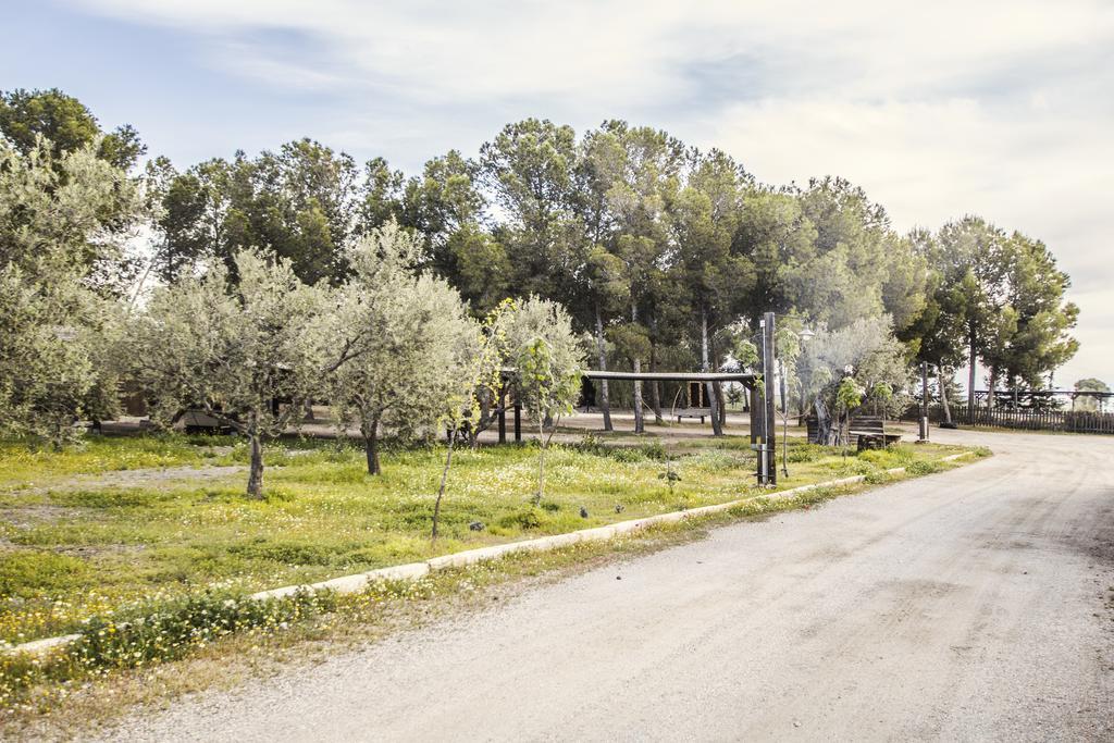 טברנס Alojamientos Rurales Los Albardinales מראה חיצוני תמונה